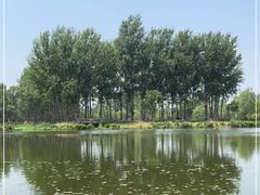 -东郊湿地公园