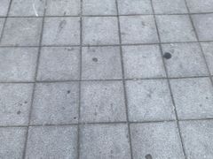 -琦琦蛋饼铺(上南店)