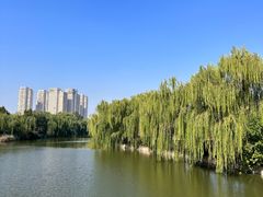 -南翠屏公园