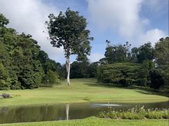 -新加坡总统府