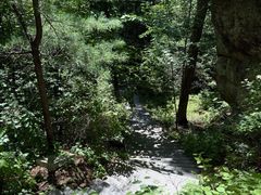 -汤旺河林海奇石景区