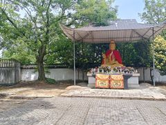 -上海佘山国家森林公园天马山园