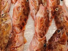 -达濠炒饭·潮汕味道