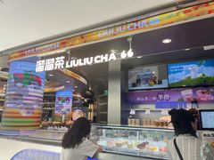 -TD66高山铁皮石斛养生茶饮
