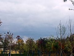 -上海长兴岛郊野公园