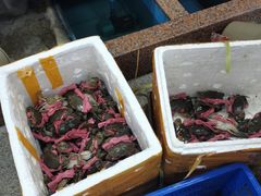 -渔人湾码头海鲜市场负二楼