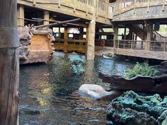 -长鹿旅游休博园