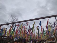 -绵阳盛世樱花悠乐谷