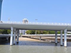 -演武大桥观景平台
