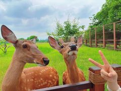 -良渚古城遗址公园