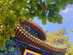 -潭柘寺景区