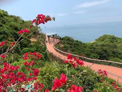 -东澳岛