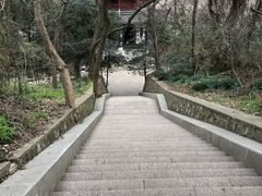 -焦山风景区