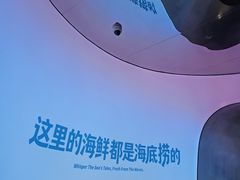 -海底捞大排档火锅(打浦路店)