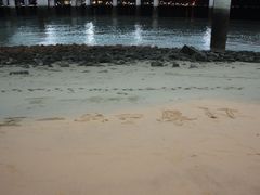 -演武大桥观景平台