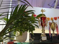 -陈中跆拳道(中关村馆)