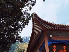 -顺峰山公园