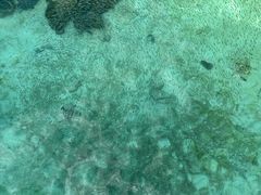 -卡帕莱度假村(西巴丹岛)