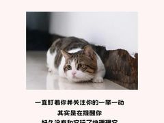 -爱侣宠医·鹦鹉专科·小型哺乳类·异宠专科(灵石路店)