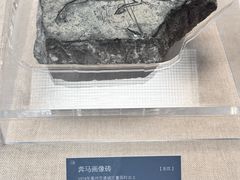 -亳州博物馆