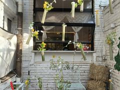 -大象厨房(重庆道店)