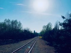 -永定河休闲森林公园