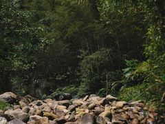 -南昆山川龙瀑布