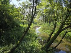 -西湖风景区-江洋畈生态公园