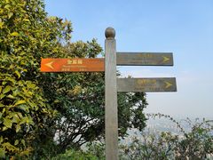 -杭州半山国家森林公园