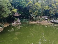 -深圳国际园林花卉博览园