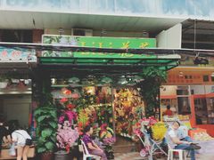 -溪岸路花鸟市场