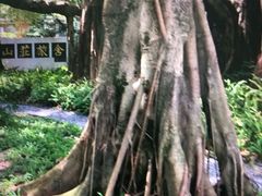 -广州市白云山风景名胜区