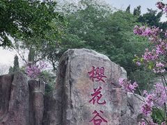 -狐尾山公园