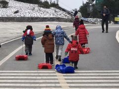 -梦幻奥陶纪景区