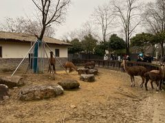 -苏州上方山国家森林公园