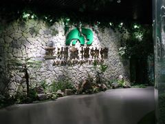 -野象谷景区