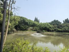 -瀛洲公园
