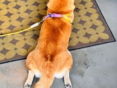 -大碗岛咖啡·苍山绝美窗景(大理古城步行街七年品牌店)