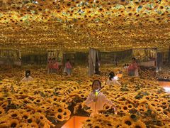 -上海梵高星空艺术馆(南京路旗舰店)