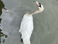 -上海动物园(地铁站)