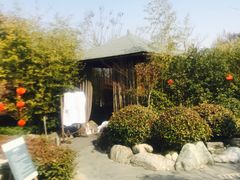 -楼观道温泉酒店