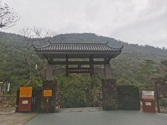 -海南热带雨林国家公园吊罗山景区