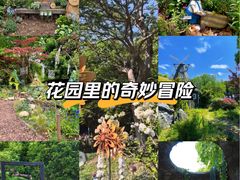 -上海鲜花港