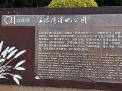 -五缘湾湿地公园