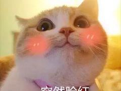 -必胜客(中山店)