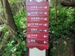 -广州白江湖森林公园