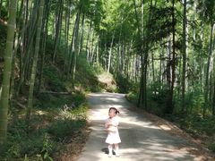 -陶祖圣境风景区