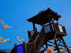 -海驴岛(荣成市)