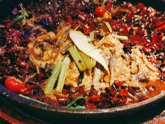 老板恋上鱼-老板恋上鱼(恒隆广场店)