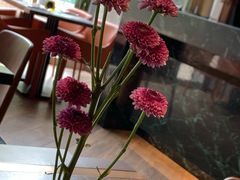 -Margherita雏菊意大利餐厅(雅颂庭购物中心店)